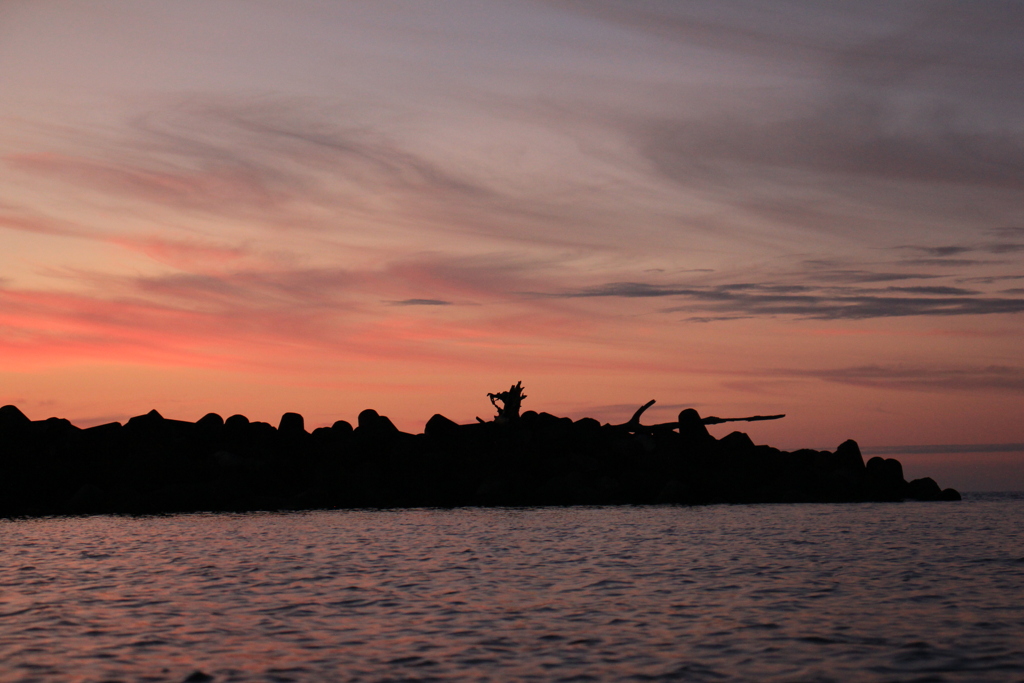 撮って出し(2024-09-10_18-15)-(Canon EOS 60D-5