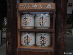 撮って出し(2024-03-06_14-00)-(E-M5-15(OLYMPUS