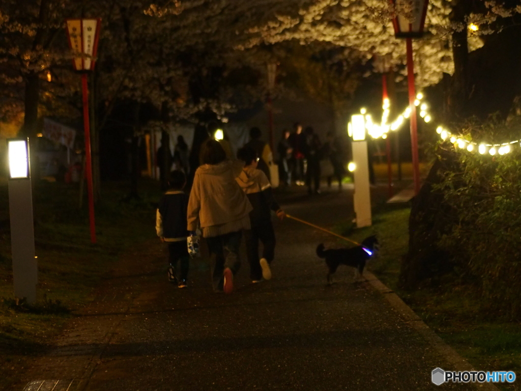 撮って出し(2025-04-18_18-48)-(E-M5-0())_02
