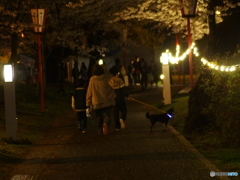 撮って出し(2025-04-18_18-48)-(E-M5-0())_02