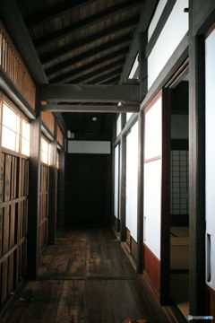 撮って出し(2024-11-07_11-40)-(Canon EOS 5D-40