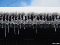 撮って出し(2025-02-11_09-54)-(E-M5-63(OLYMPUS