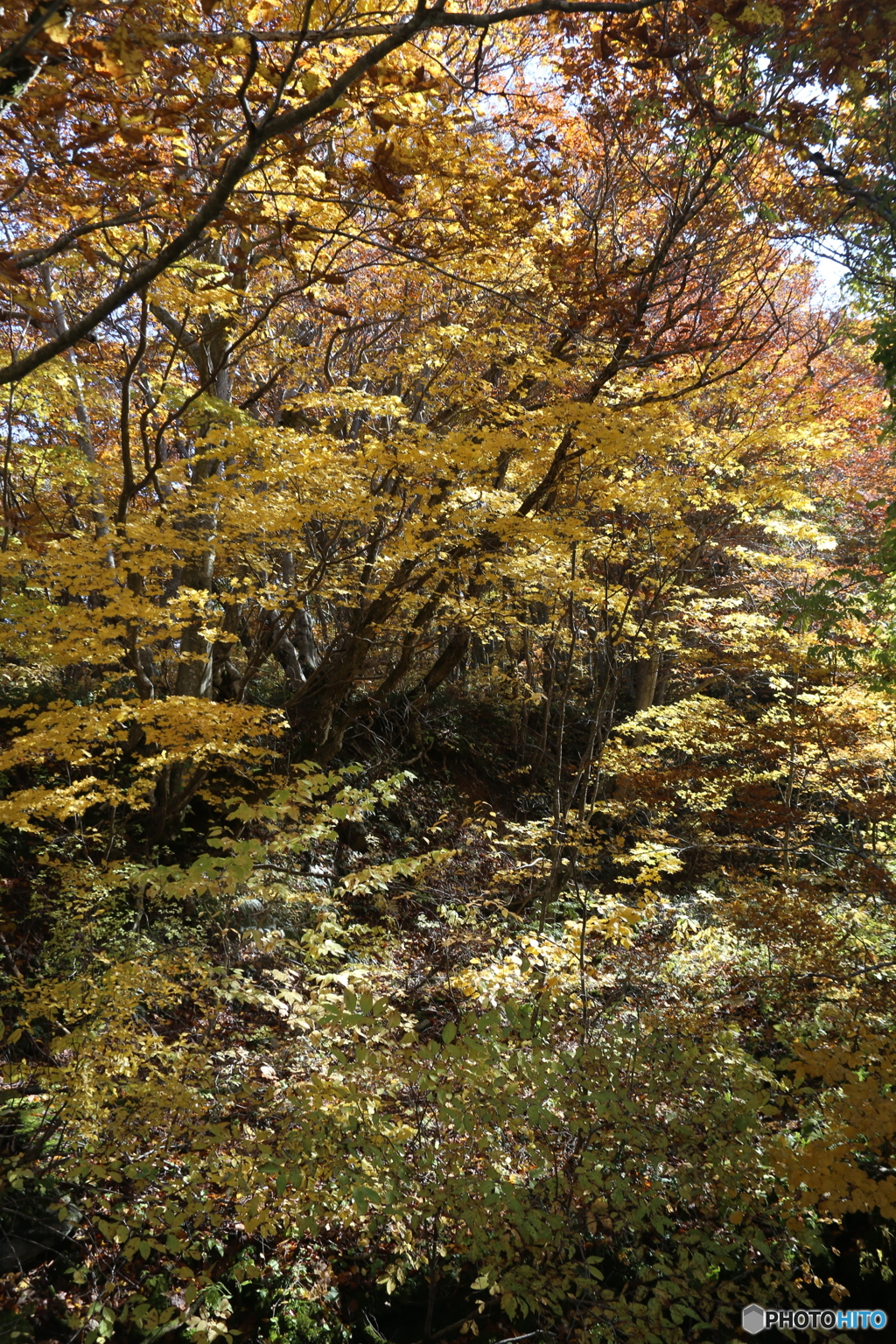 撮って出し(2025-11-04_10-52)-(Canon EOS 6D-28