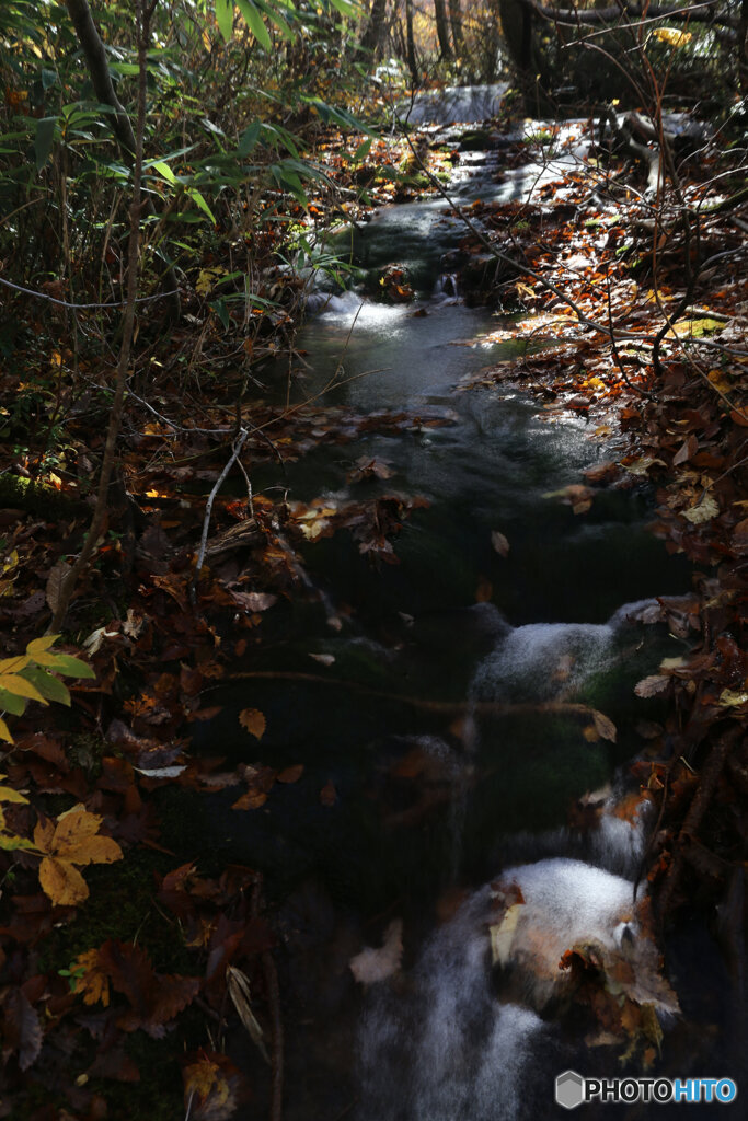撮って出し(2025-11-04_10-26)-(Canon EOS 6D-28