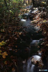 撮って出し(2025-11-04_10-26)-(Canon EOS 6D-28