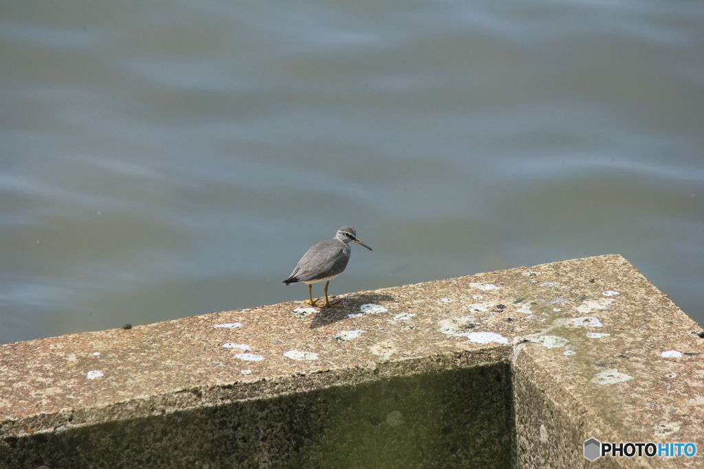撮って出し(2024-05-11_10-09)-(Canon EOS 60D-2