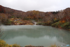 撮って出し(2025-10-27_10-32)-(Canon EOS 6D-30