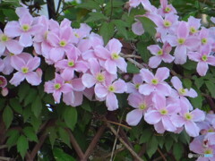 撮って出し-Canon PowerShot SX280 HS-90.0-23_0