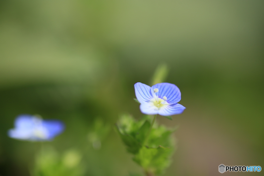 撮って出し-Canon EOS 6D-90.0-41_04_11-3