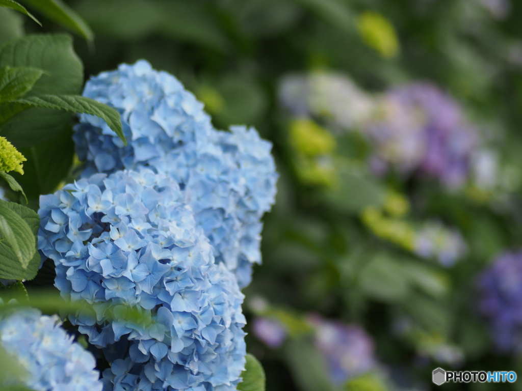 撮って出し-E-M5-0.0-23_06_23-8