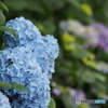 撮って出し-E-M5-0.0-23_06_23-8