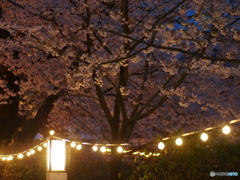 撮って出し(2025-04-18_18-34)-(E-M5-0())