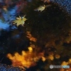 水溜り落ちた紅葉