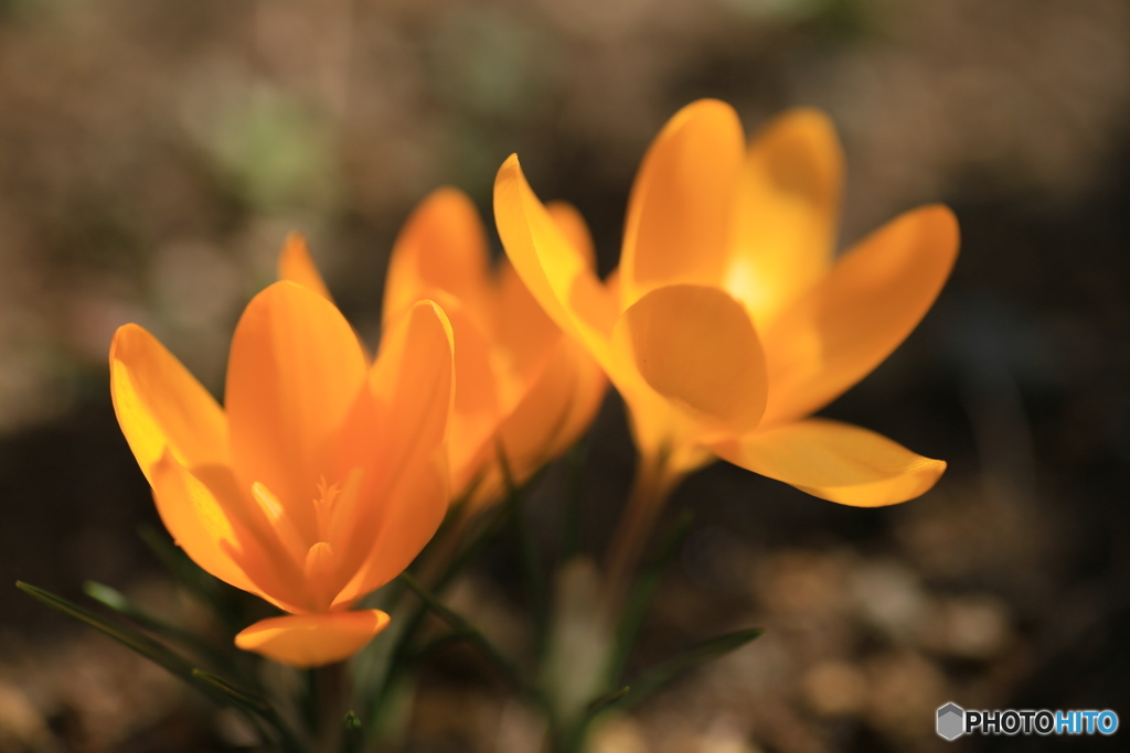 撮って出し-Canon EOS 6D-90.0-41_03_11-0