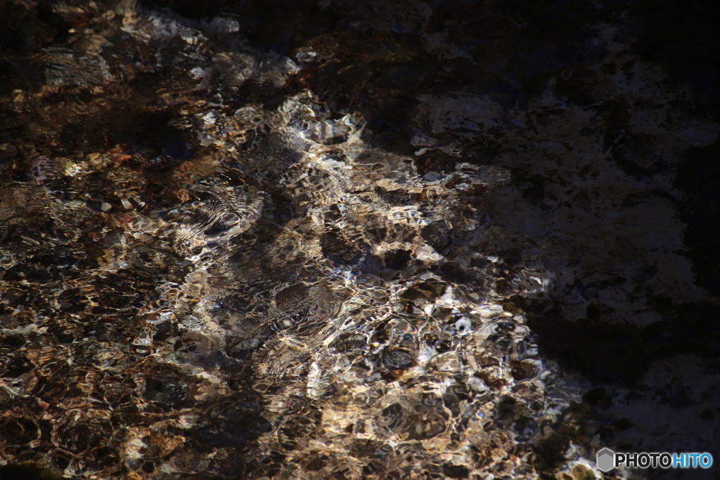 撮って出し(2025-11-04_10-09)-(Canon EOS 6D-25