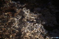 撮って出し(2025-11-04_10-09)-(Canon EOS 6D-25