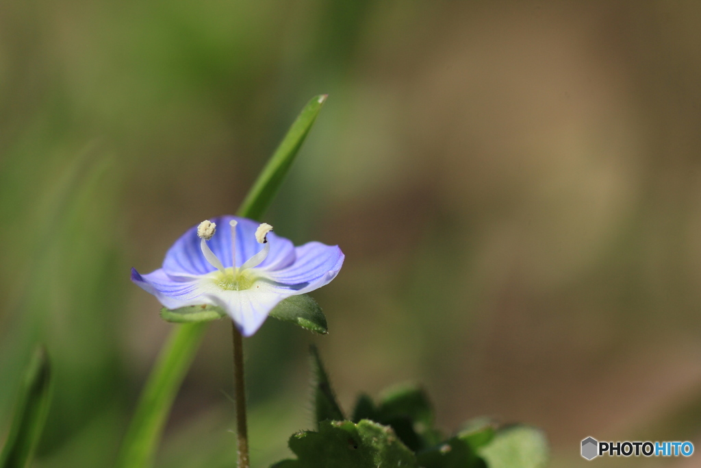 撮って出し-Canon EOS 60D-90.0-41_03_22-9