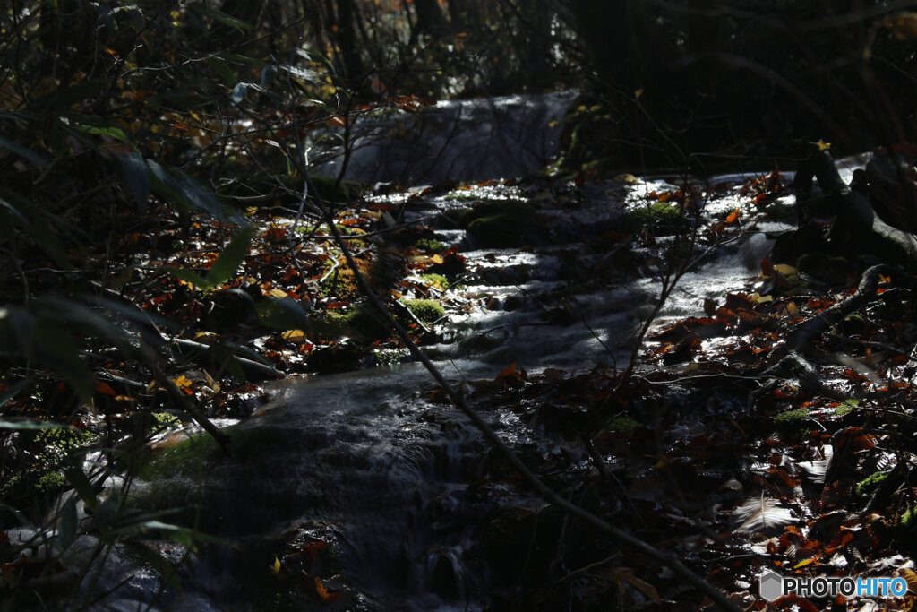 撮って出し(2025-11-04_10-24)-(Canon EOS 6D-10