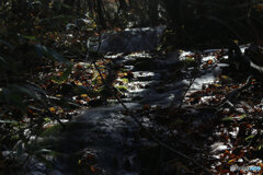 撮って出し(2025-11-04_10-24)-(Canon EOS 6D-10