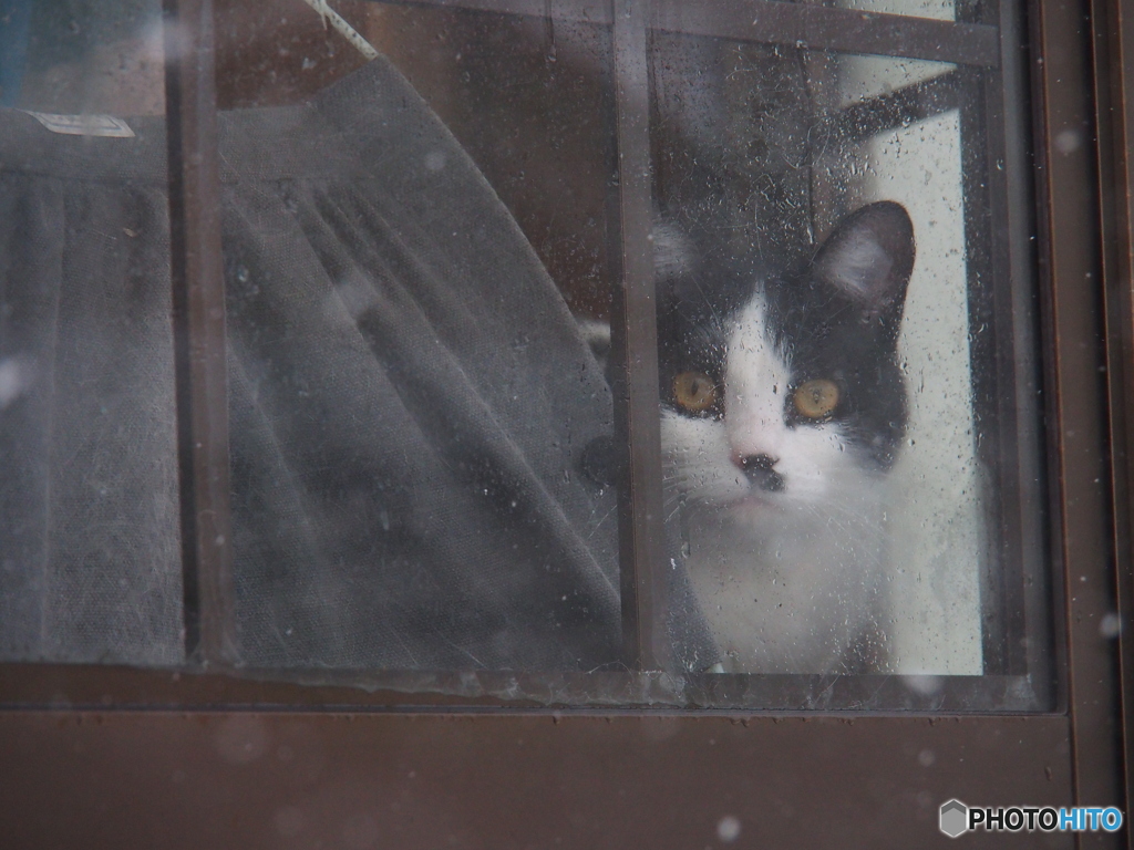 撮って出し(2025-01-17_10-56)-(E-M5-120(OLYMPU