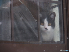 撮って出し(2025-01-17_10-56)-(E-M5-120(OLYMPU