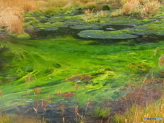 撮って出し-E-M5-29.0-23_10_15_PA155567-0