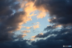 撮って出し(2024-12-09_07-01)-(Canon EOS 60D-5