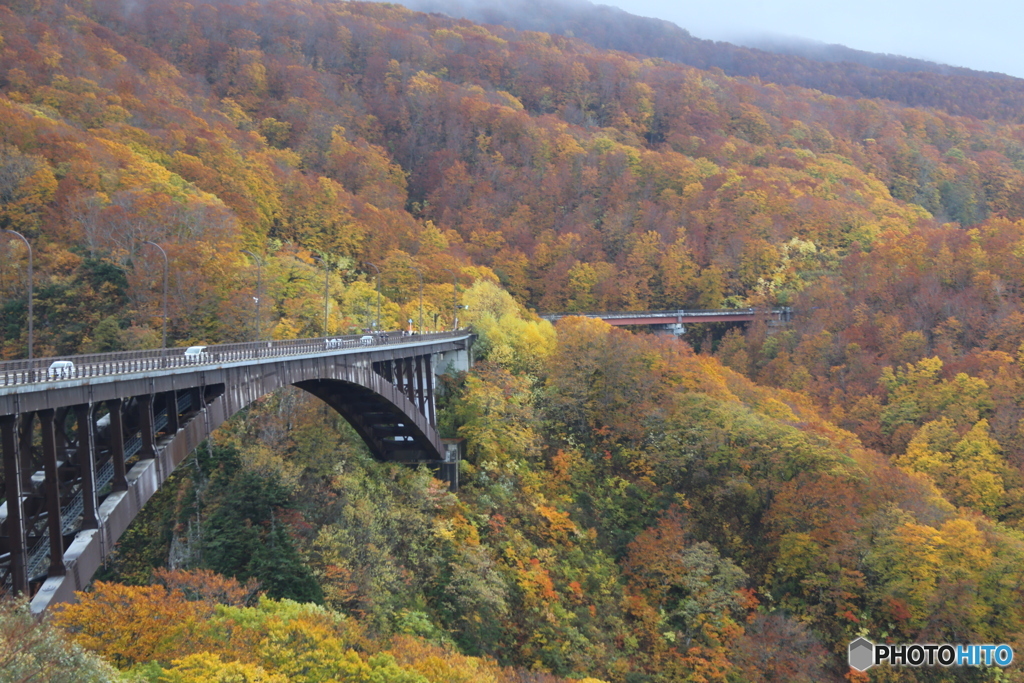 撮って出し(2025-10-27_10-49)-(Canon EOS 6D-85