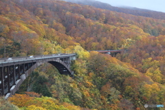 撮って出し(2025-10-27_10-49)-(Canon EOS 6D-85