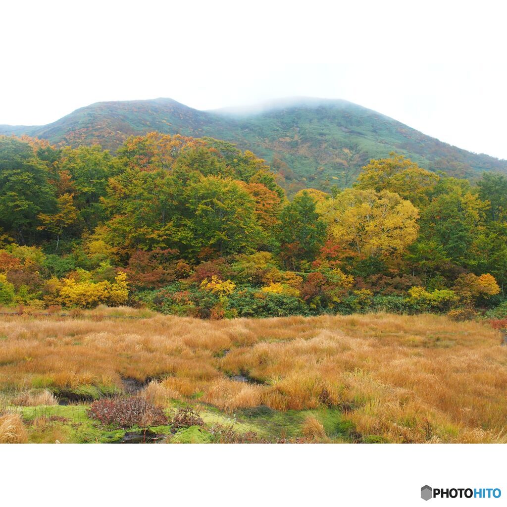 撮って出し(2023-10-15_13-46-07)-OLYMPUS M.14-