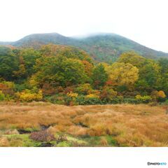 撮って出し(2023-10-15_13-46-07)-OLYMPUS M.14-