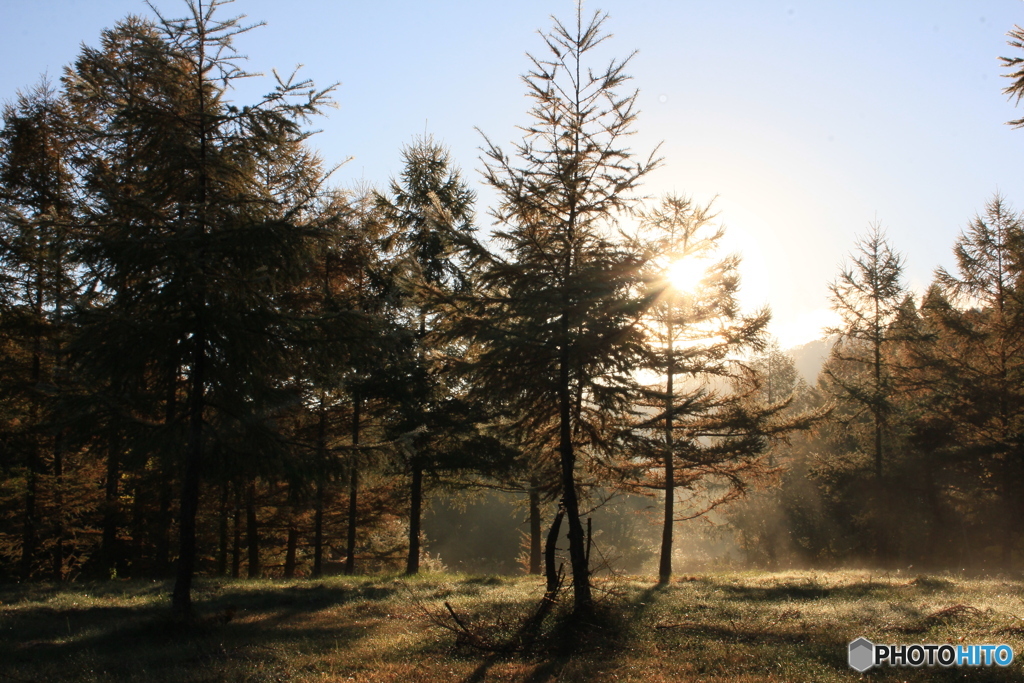 撮って出し-Canon EOS 60D-29.0-22_10_31-0