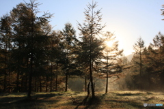 撮って出し-Canon EOS 60D-29.0-22_10_31-0