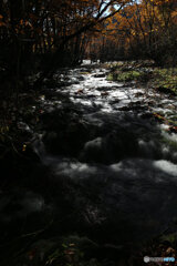 撮って出し(2025-11-04_10-19)-(Canon EOS 6D-24