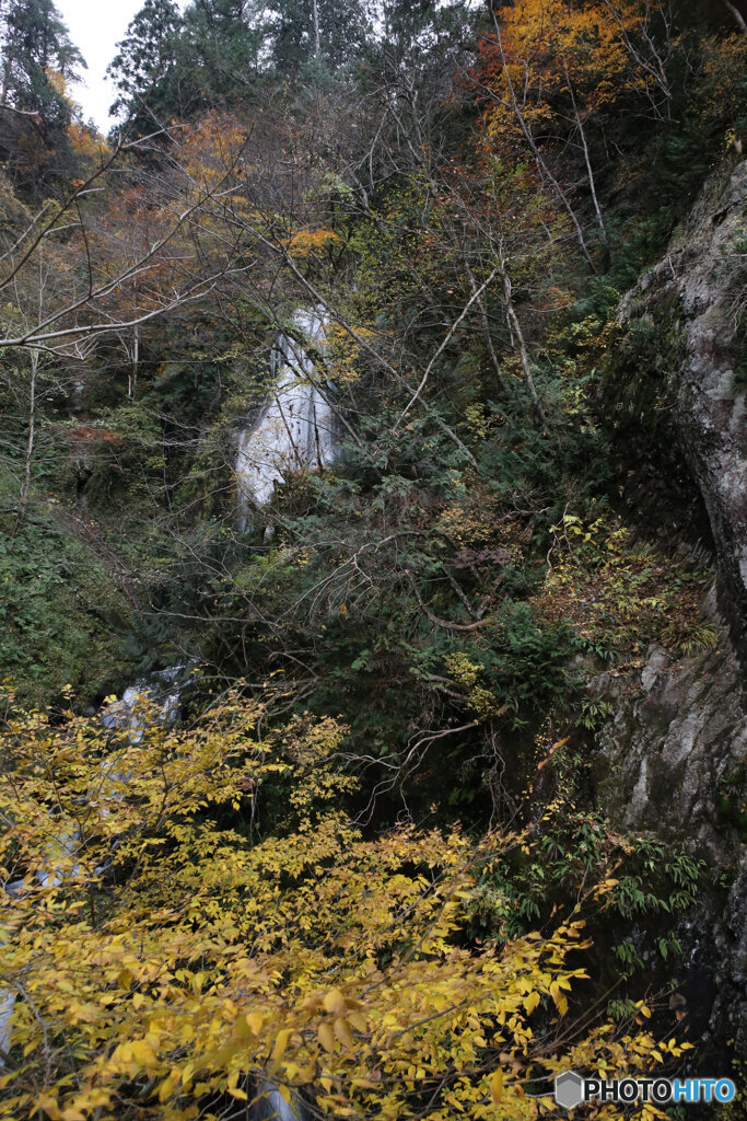 撮って出し(2025-11-07_13-03)-(Canon EOS 6D-24