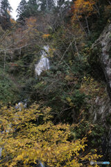 撮って出し(2025-11-07_13-03)-(Canon EOS 6D-24