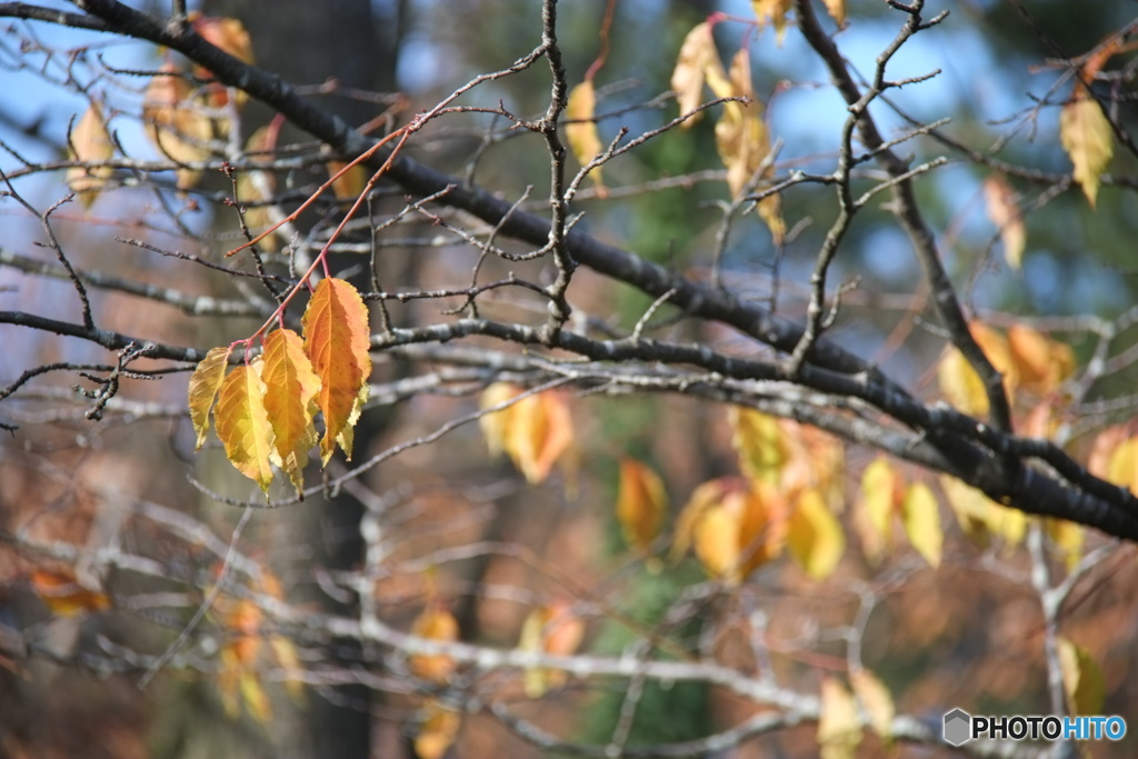 DSCF0090
