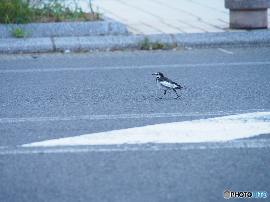 撮って出し-E-M5-150.0-23_08_16_P8164479-0