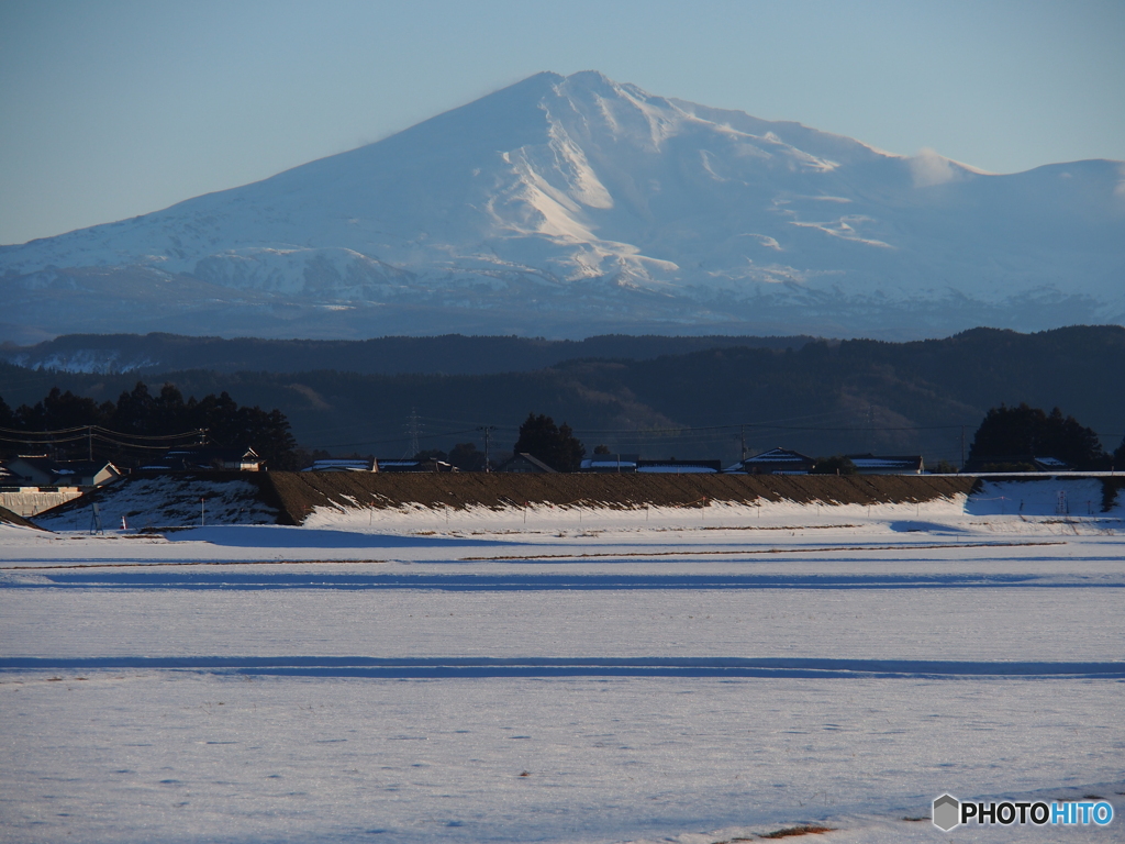 撮って出し(2025-01-19_15-44)-(E-M5-90(OLYMPUS