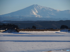 撮って出し(2025-01-19_15-44)-(E-M5-90(OLYMPUS