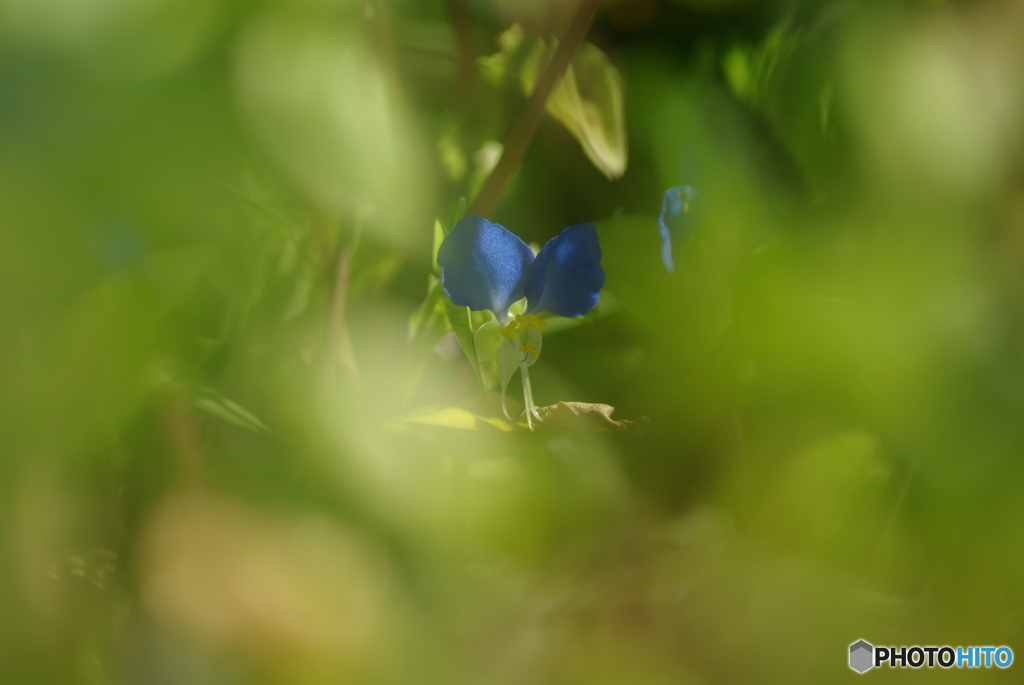 撮って出し(2025-09-28_09-58)-(PENTAX K10D-300