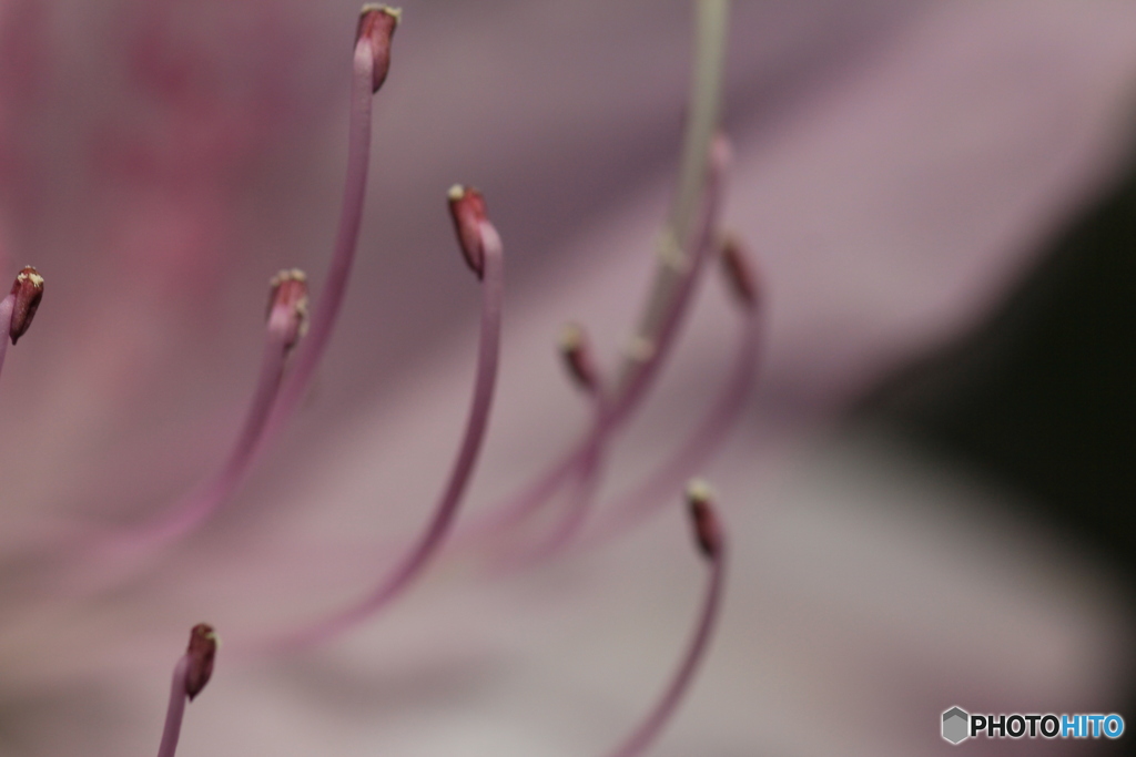 撮って出し(2024-05-04_13-56)-(Canon EOS 60D-9