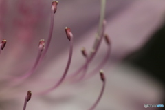 撮って出し(2024-05-04_13-56)-(Canon EOS 60D-9