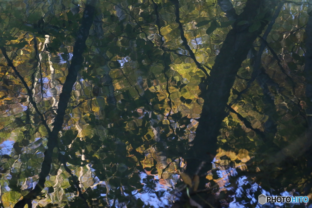 撮って出し(2025-10-27_06-41)-(Canon EOS 6D-90