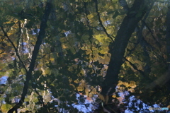 撮って出し(2025-10-27_06-41)-(Canon EOS 6D-90