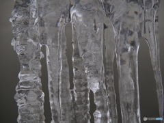 撮って出し(2025-02-12_08-58)-(E-M5-100(OLYMPU