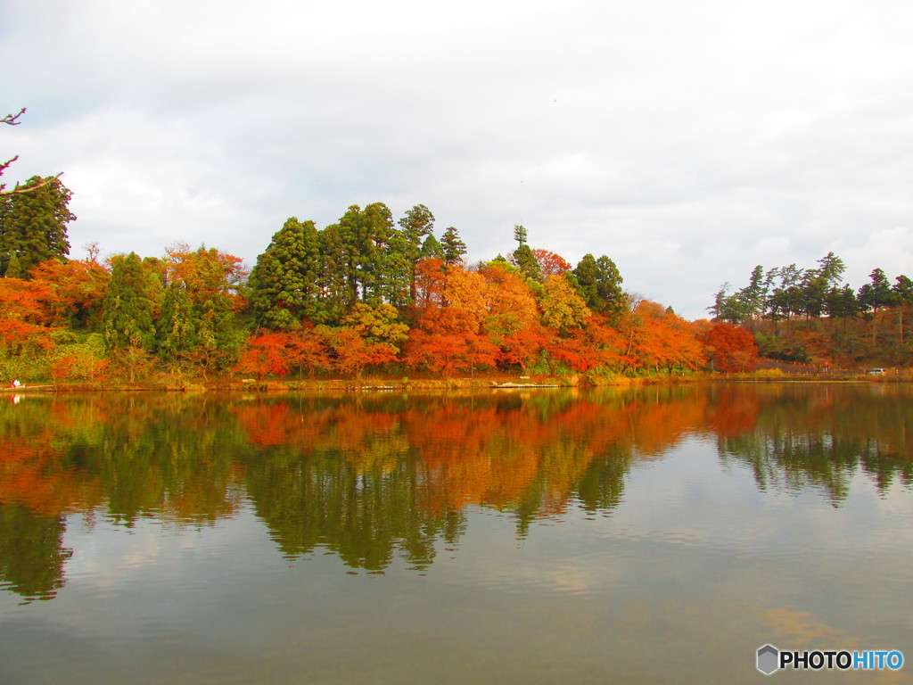 本荘御手作堤の桜の紅葉