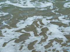 撮って出し-E-M5-54.0-23_09_04_P9045364-0