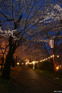 撮って出し(2025-04-18_18-39)-(Canon EOS 6D-0(
