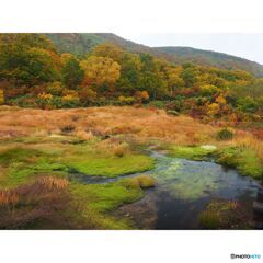 撮って出し(2023-10-15_13-47-51)-OLYMPUS M.14-